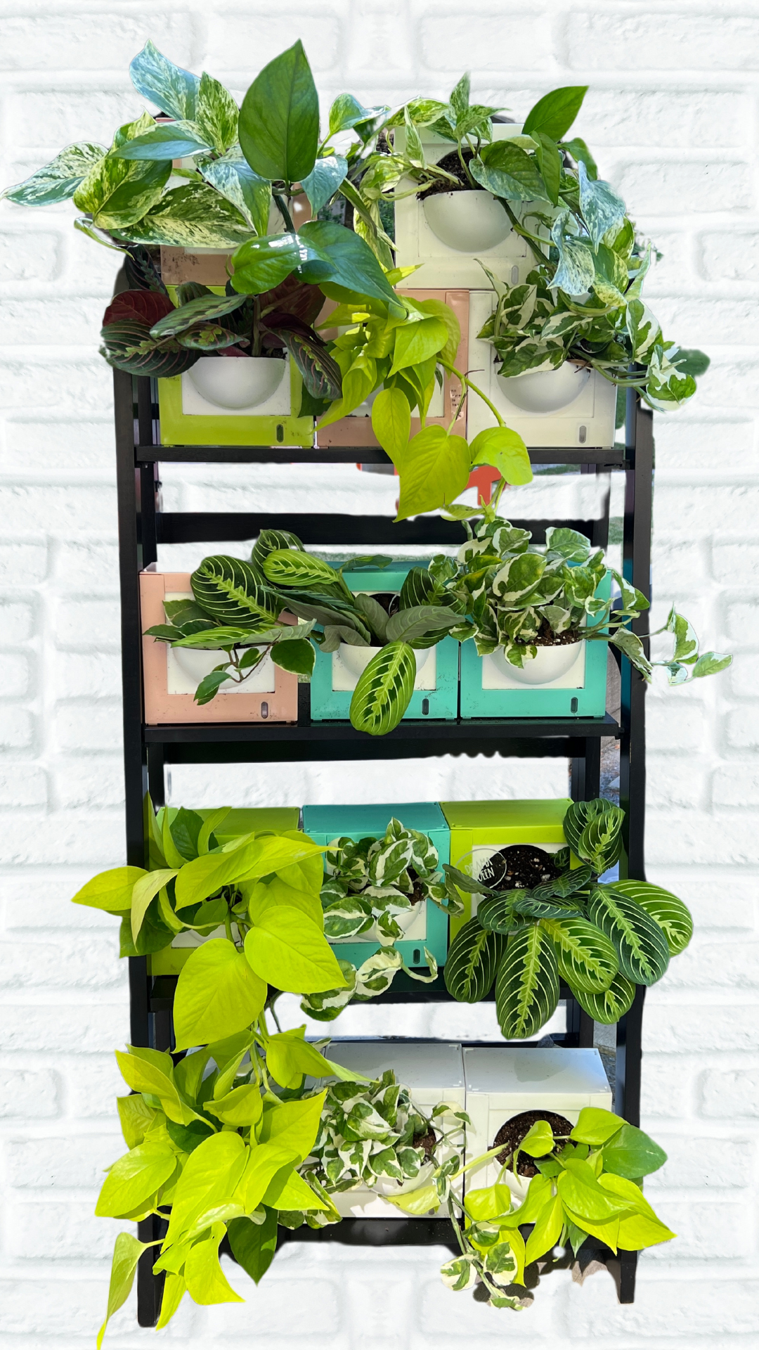 self watering vertical garden planter Square Self-Watering Pot (Wall Mountable) White