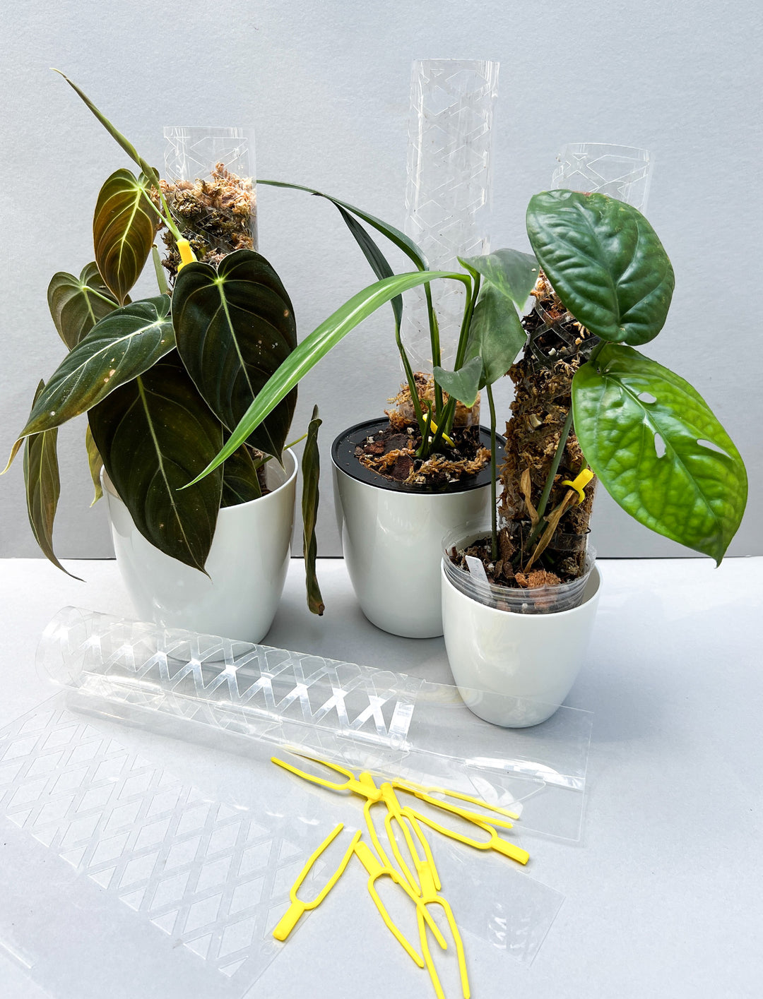 CLIMB Plant Support Pole