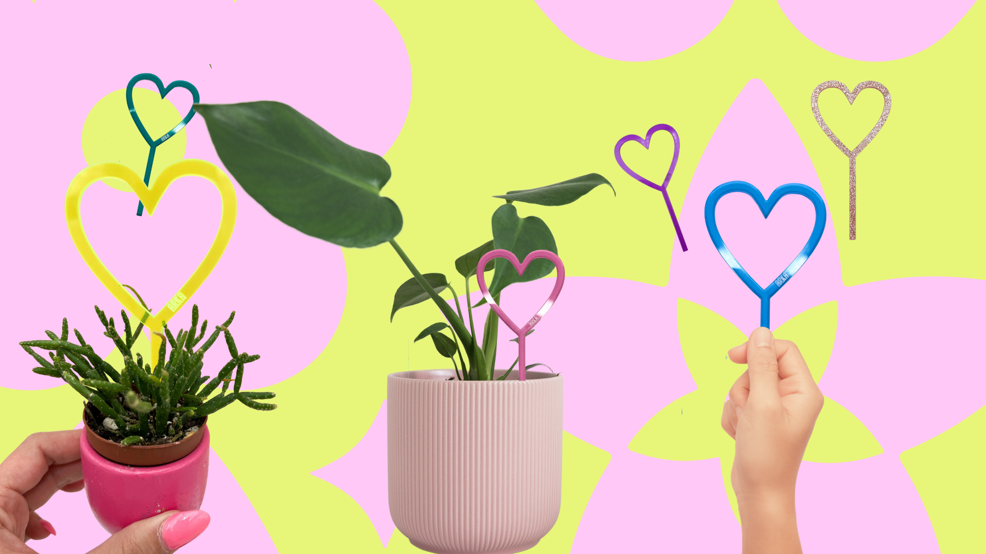 Plant Love Collection