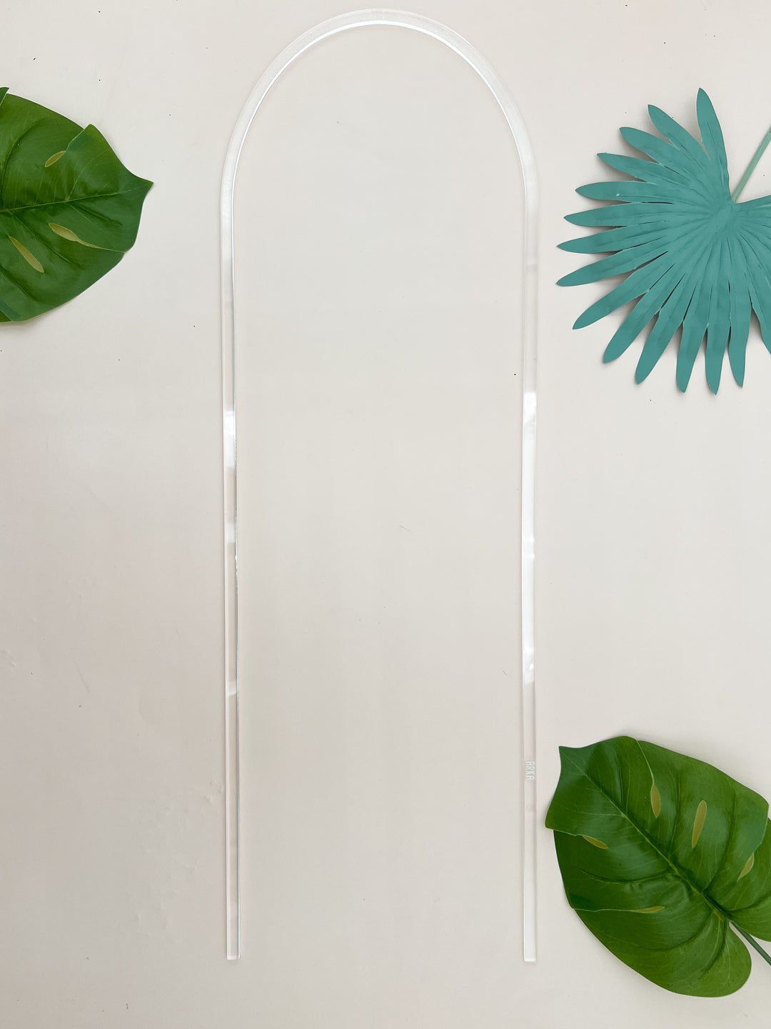 clear plant trellis Arka Grande Trellis | Acrylic Hoop Plant Trellis
