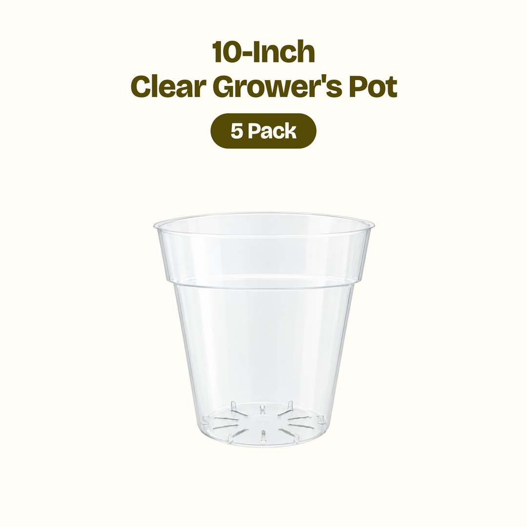 Clear Grower's Pot - 10 inch