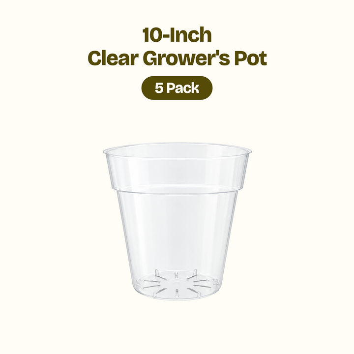 Clear Grower's Pot - 10 inch