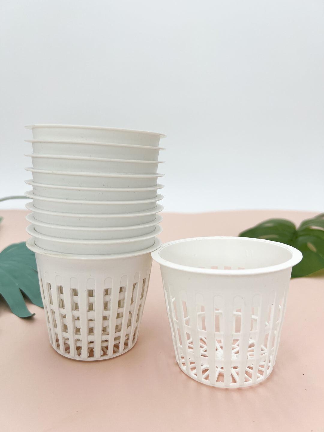 3 inch plastic plant pots 3 inch White Net Pot Set of 10