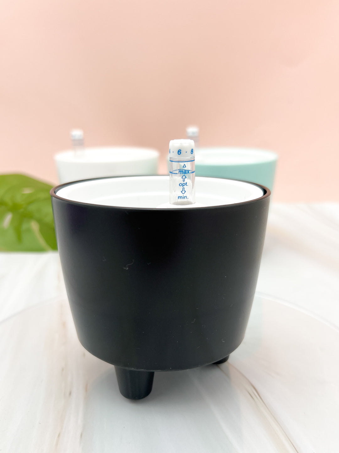 moma self-watering wet pot planter 3” Self Watering Moo Pot Black