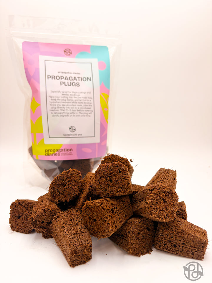 Propagation Plugs — Forbidden Brownies