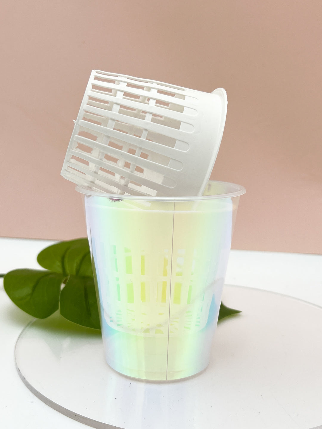 iridescent planter pot Iridescent Holo Cups 10 Pack + 10 White Self-watering Inserts