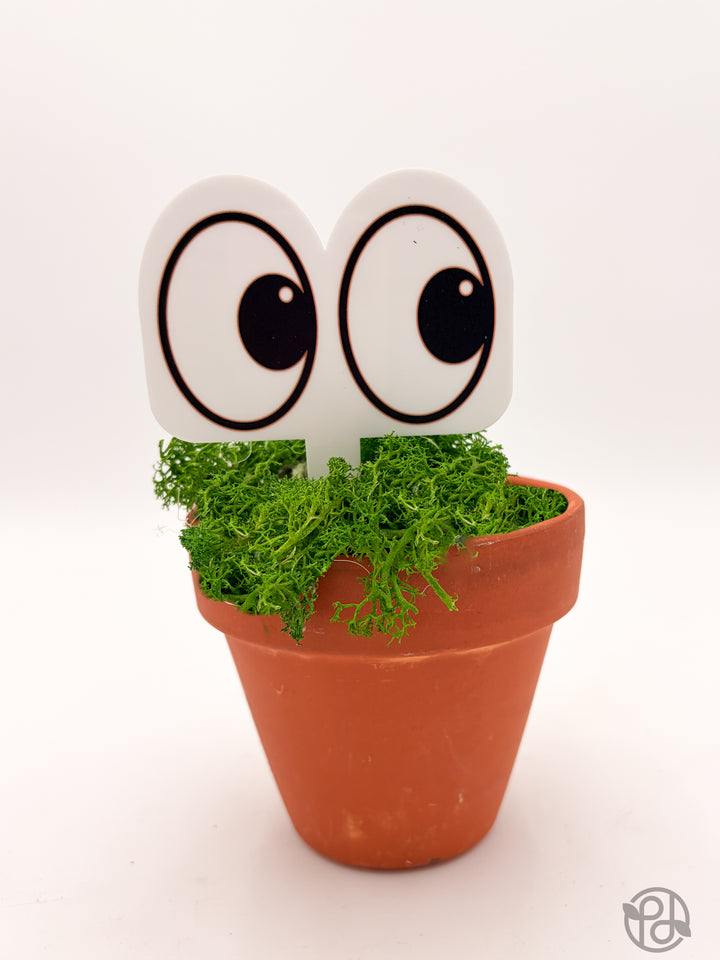 Pot Pals — Decorative Plant Stake