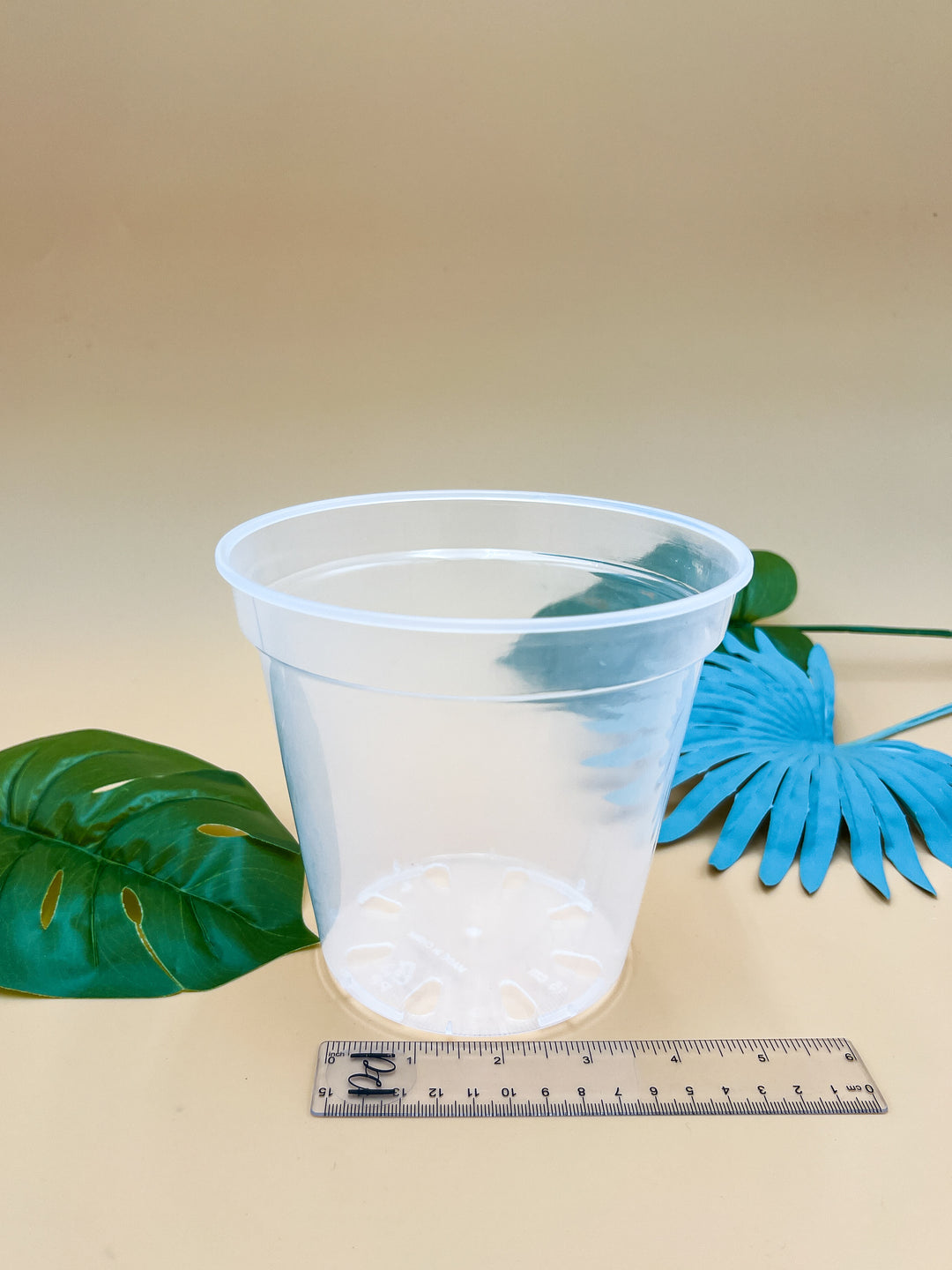 5 inch pot plant Clear Grower's Pot