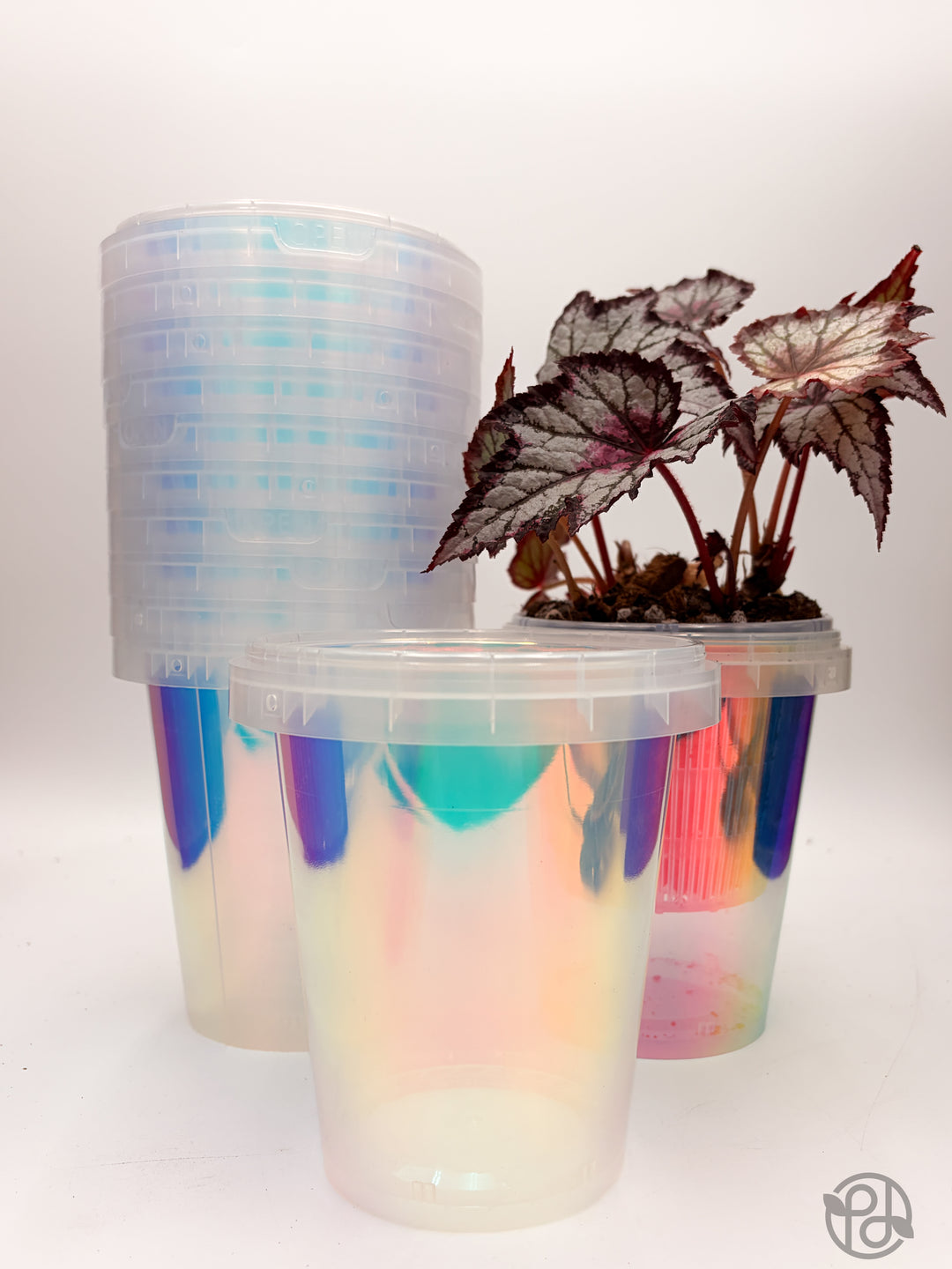 Large Iridescent Holo Cups