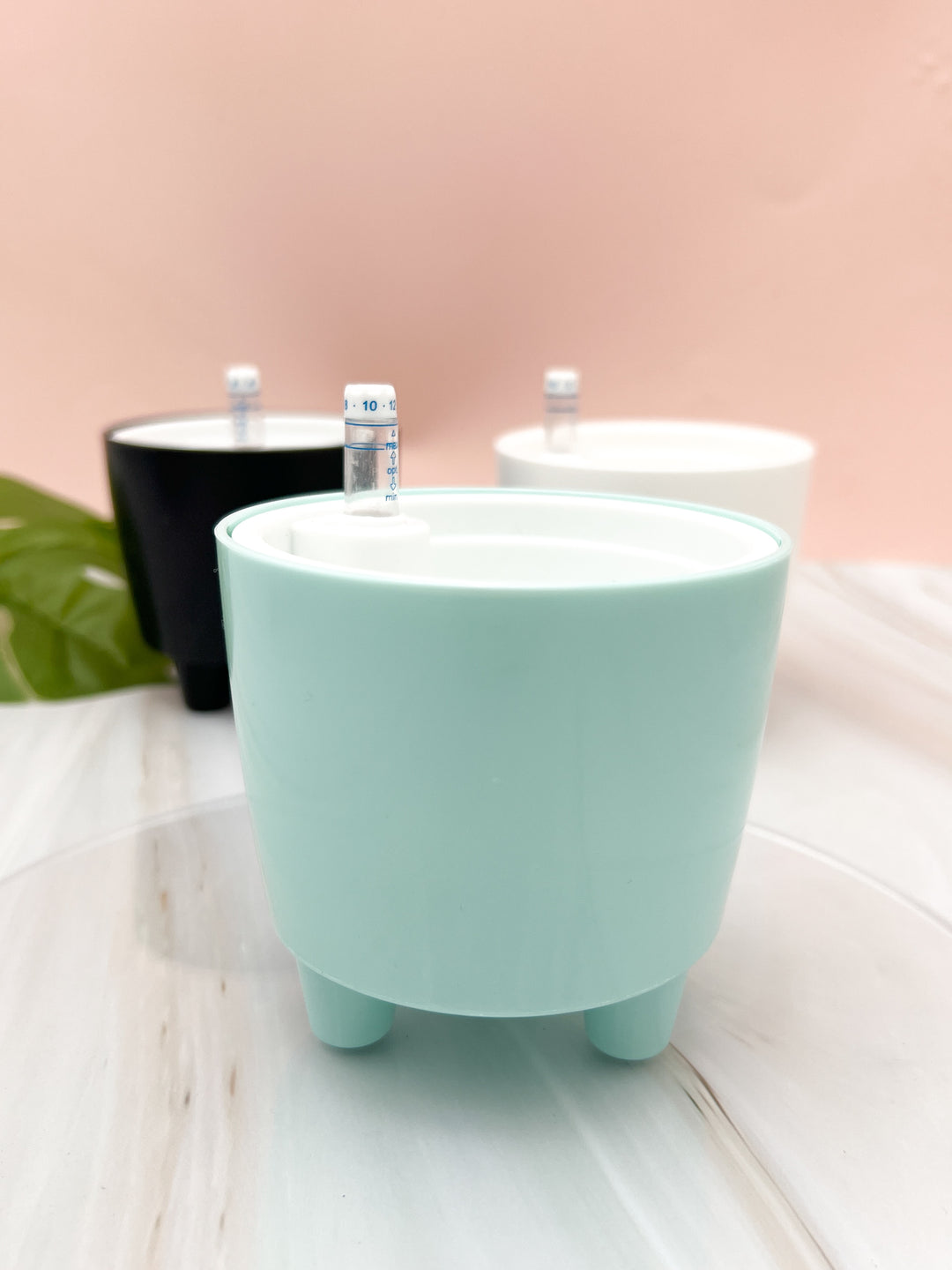 plant pot that waters itself 3” Self Watering Moo Pot Aqua