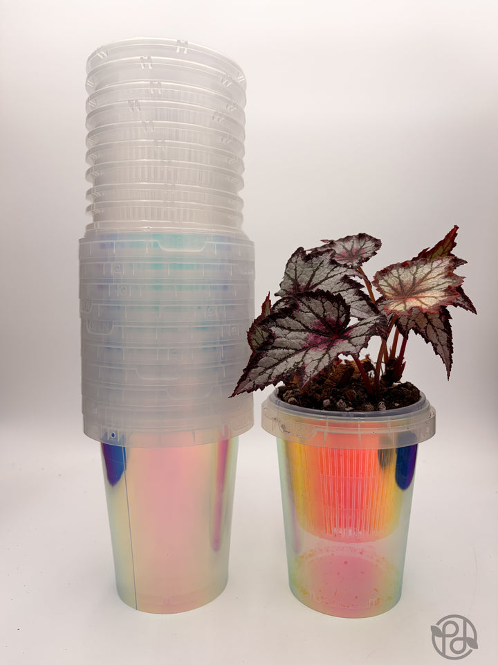 Large Iridescent Holo Cups
