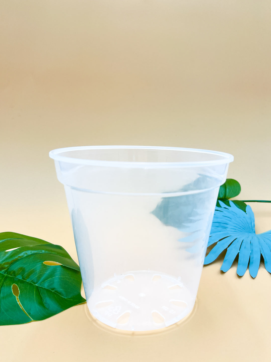 where to buy clear plant pots Clear Grower's Pot