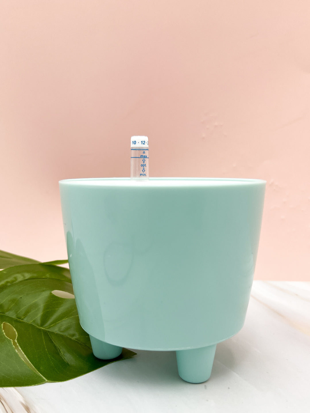 3” Moo Self Watering Pot