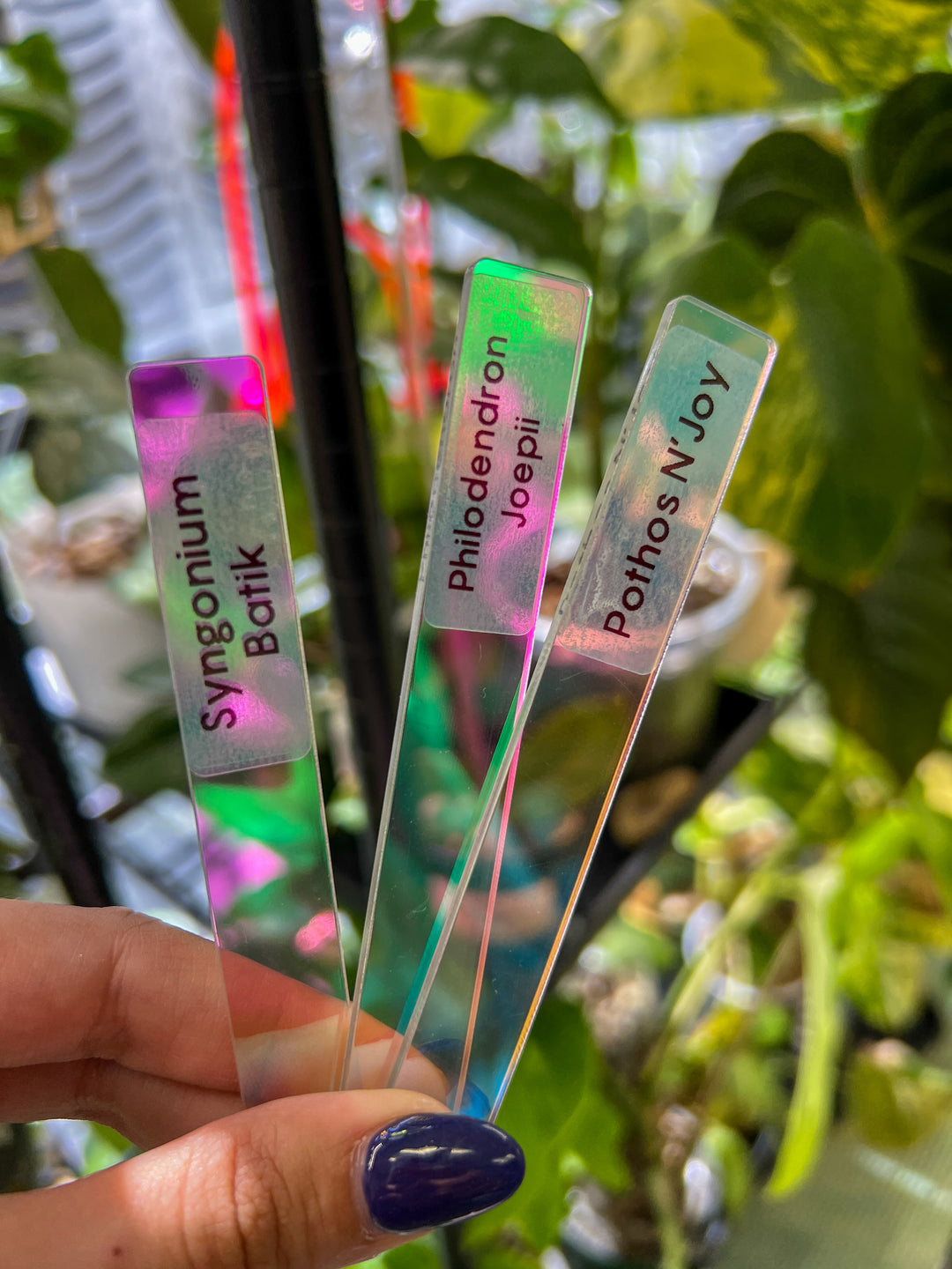 Iridescent Acrylic Plant Tags (Set of 25)