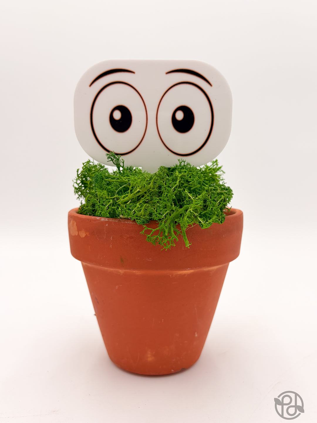Pot Pals — Decorative Plant Stake