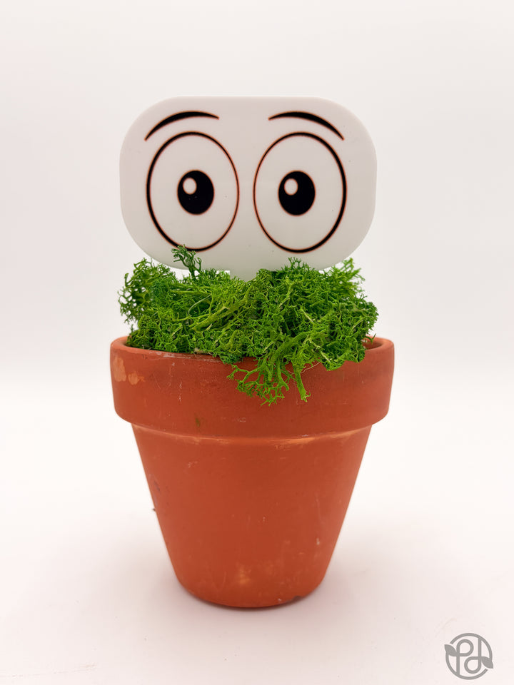Pot Pals — Decorative Plant Stake