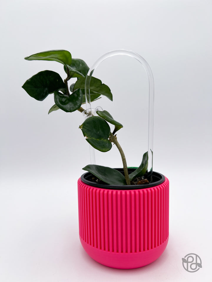 9” Acrylic Hoop Trellis