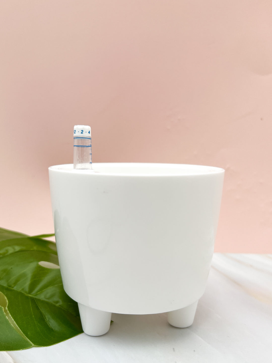 plant pot that waters itself 3” Self Watering Moo Pot Pink