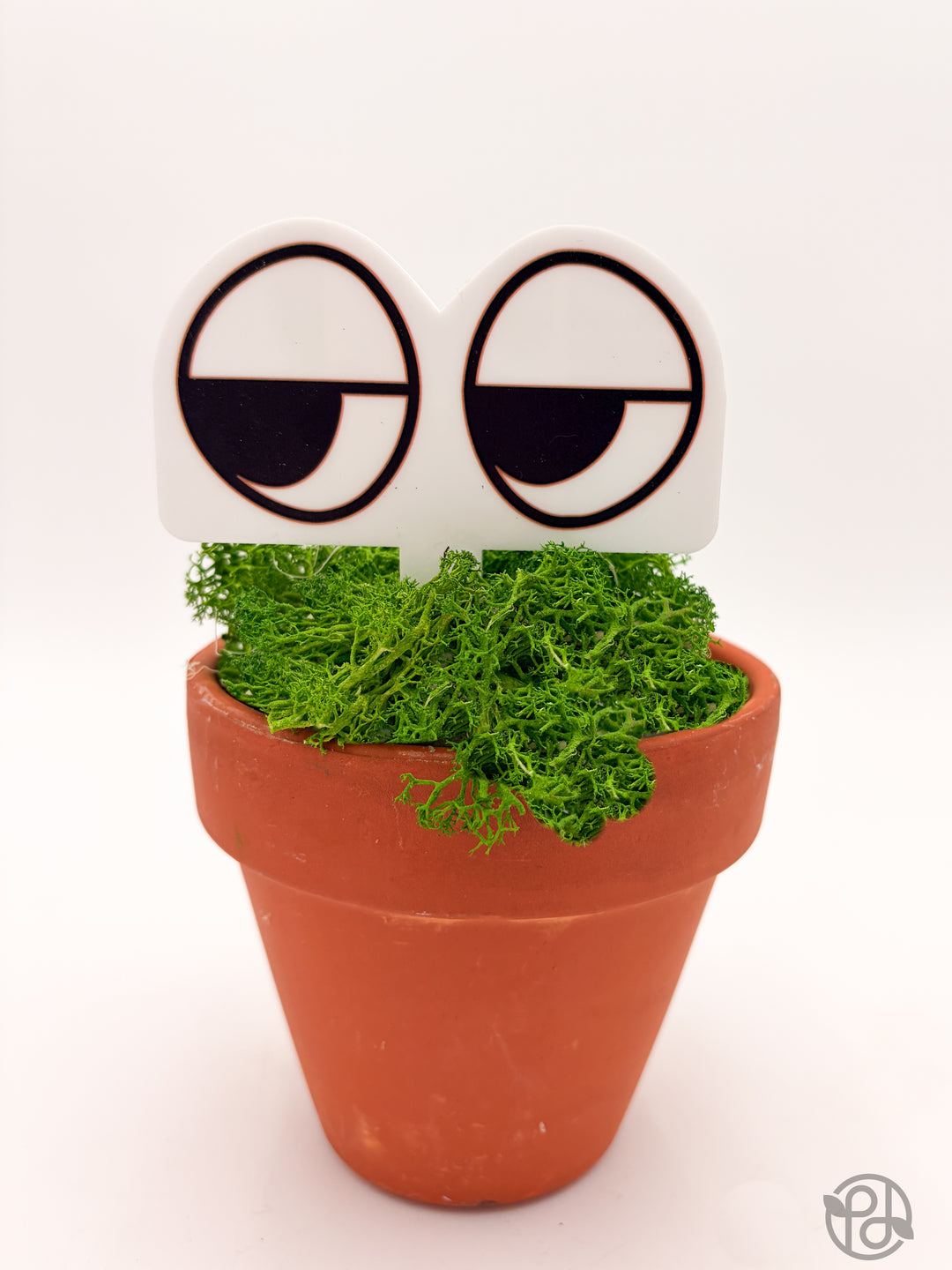 Pot Pals — Decorative Plant Stake
