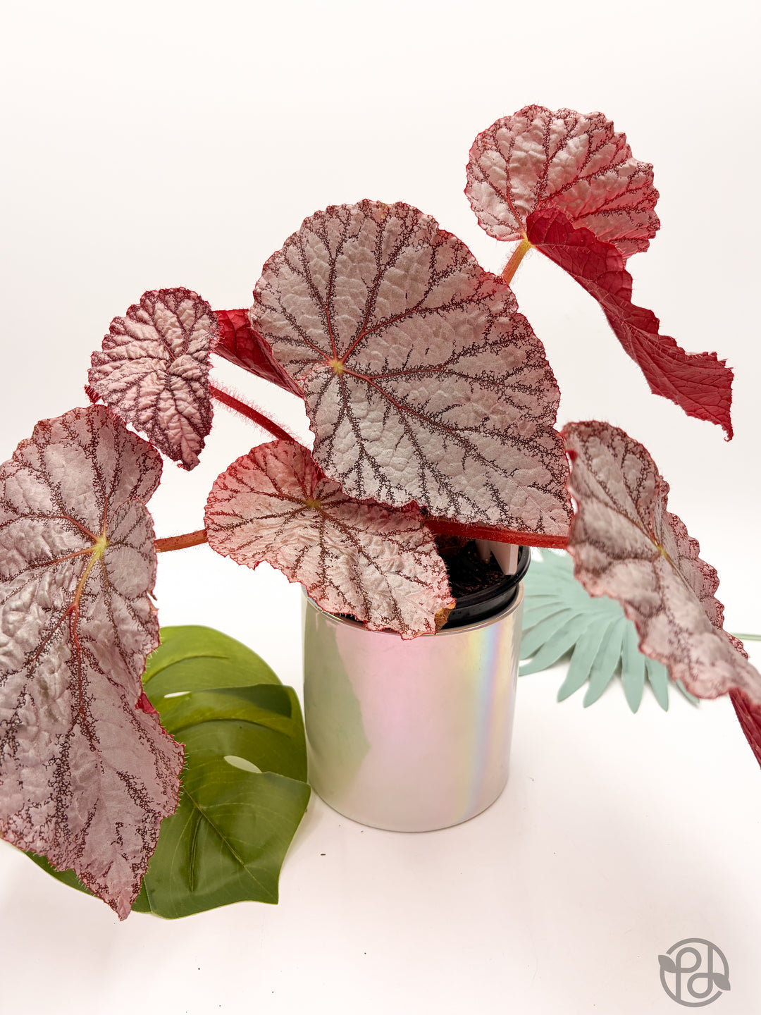 Iridescent Ceramic Planter – 4.25"