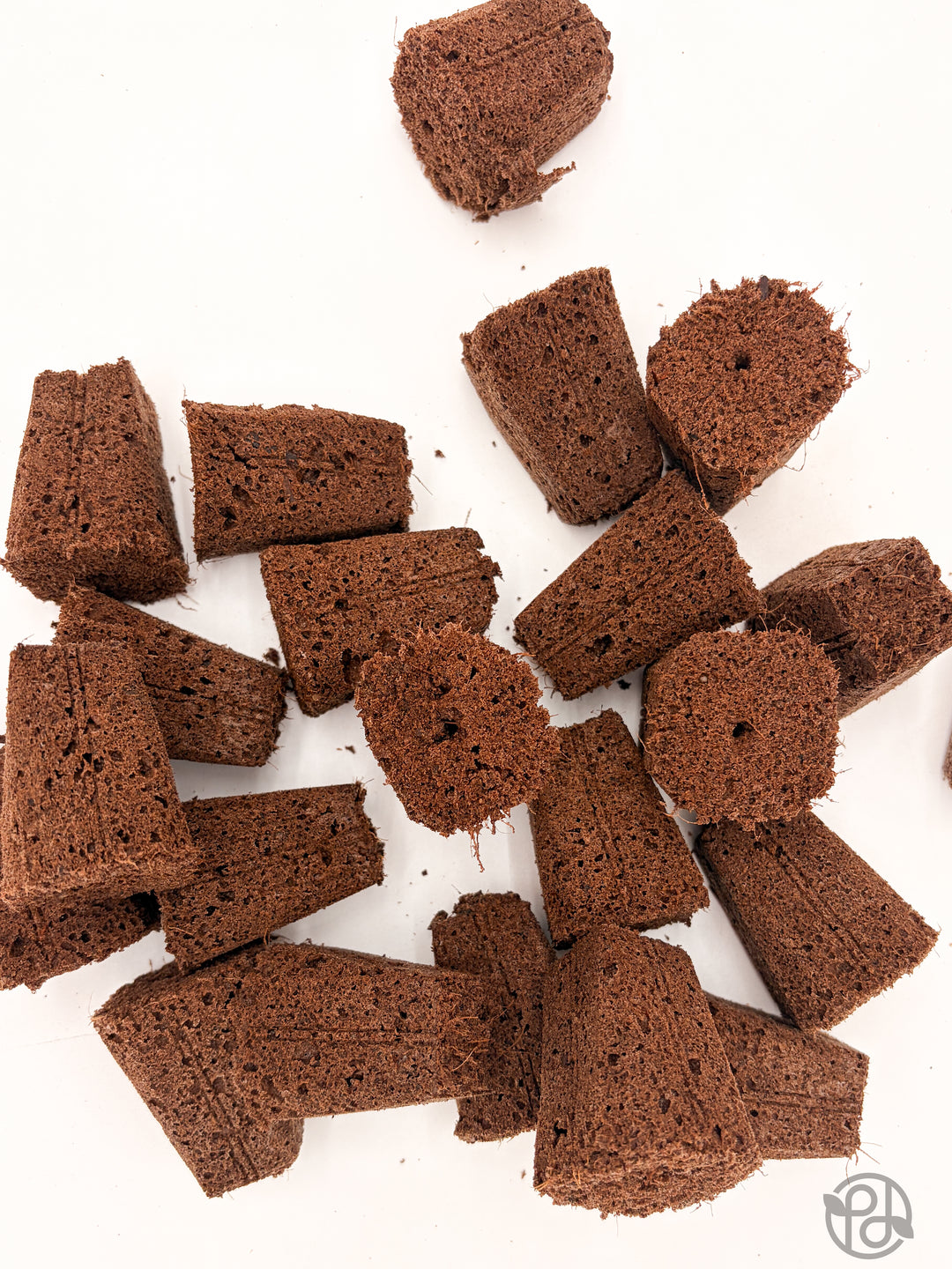 Propagation Plugs — Forbidden Brownies