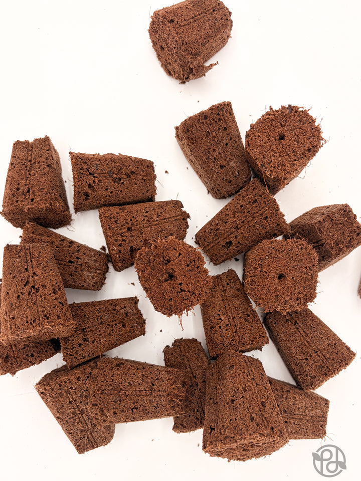 Propagation Plugs — Forbidden Brownies