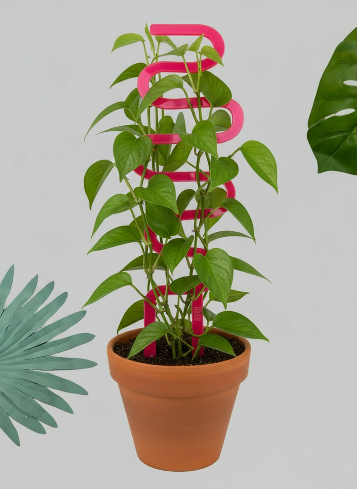 Arka™ Sway XL Plant Stake