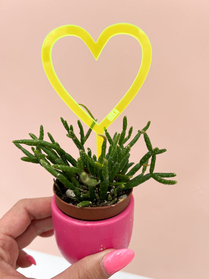 Arka™ Love Mini Plant Stake