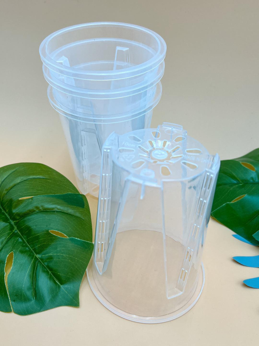 tall thin plastic plant pots Clear Grower's Pot