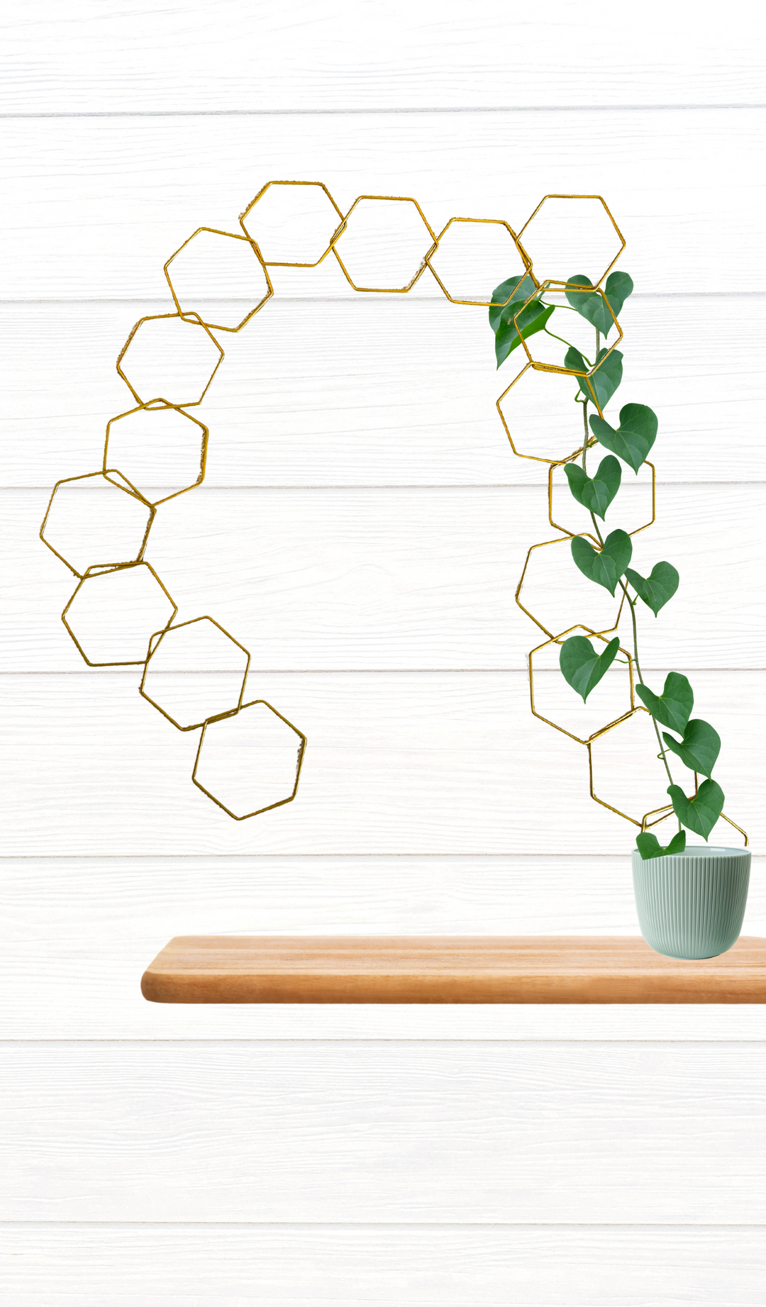 chain plant trellis Metal Chain Trellis
