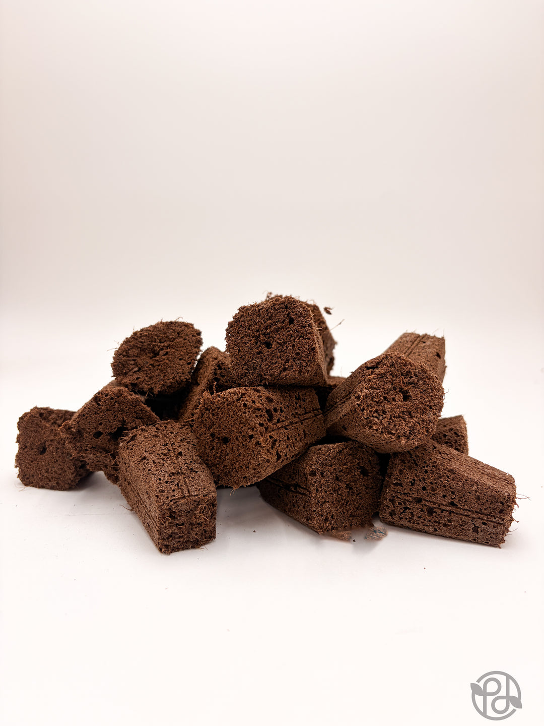 Propagation Plugs — Forbidden Brownies