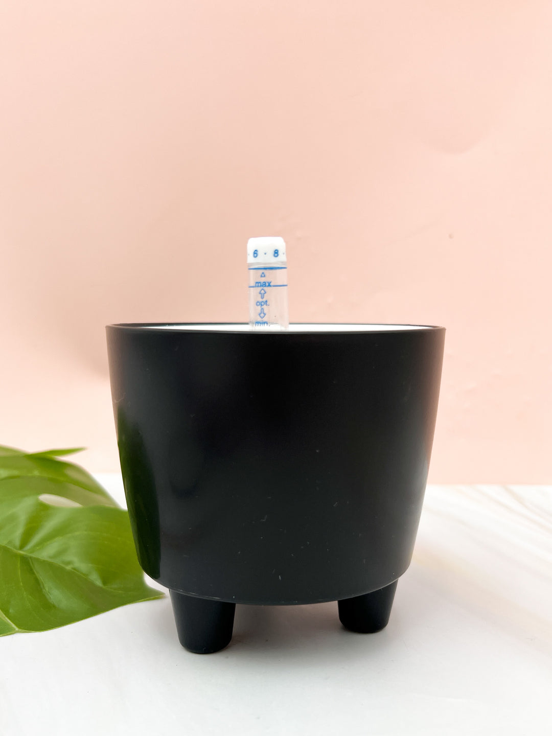 self watering bowl planter 3” Self Watering Moo Pot Pink