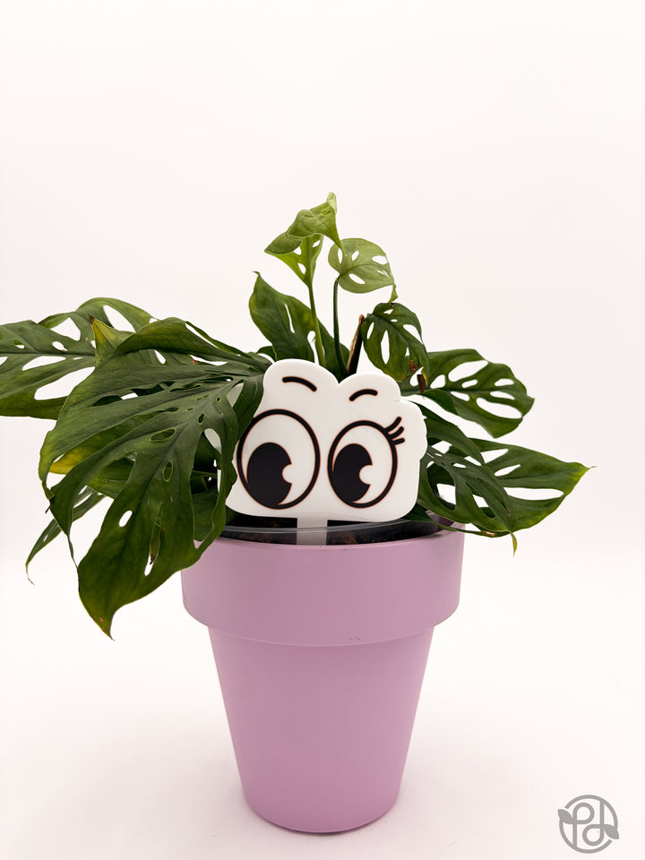 Pot Pals — Decorative Plant Stake