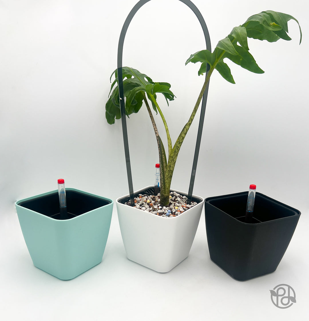 self watering bowl planter 6" Self Watering Moo Pot Aqua