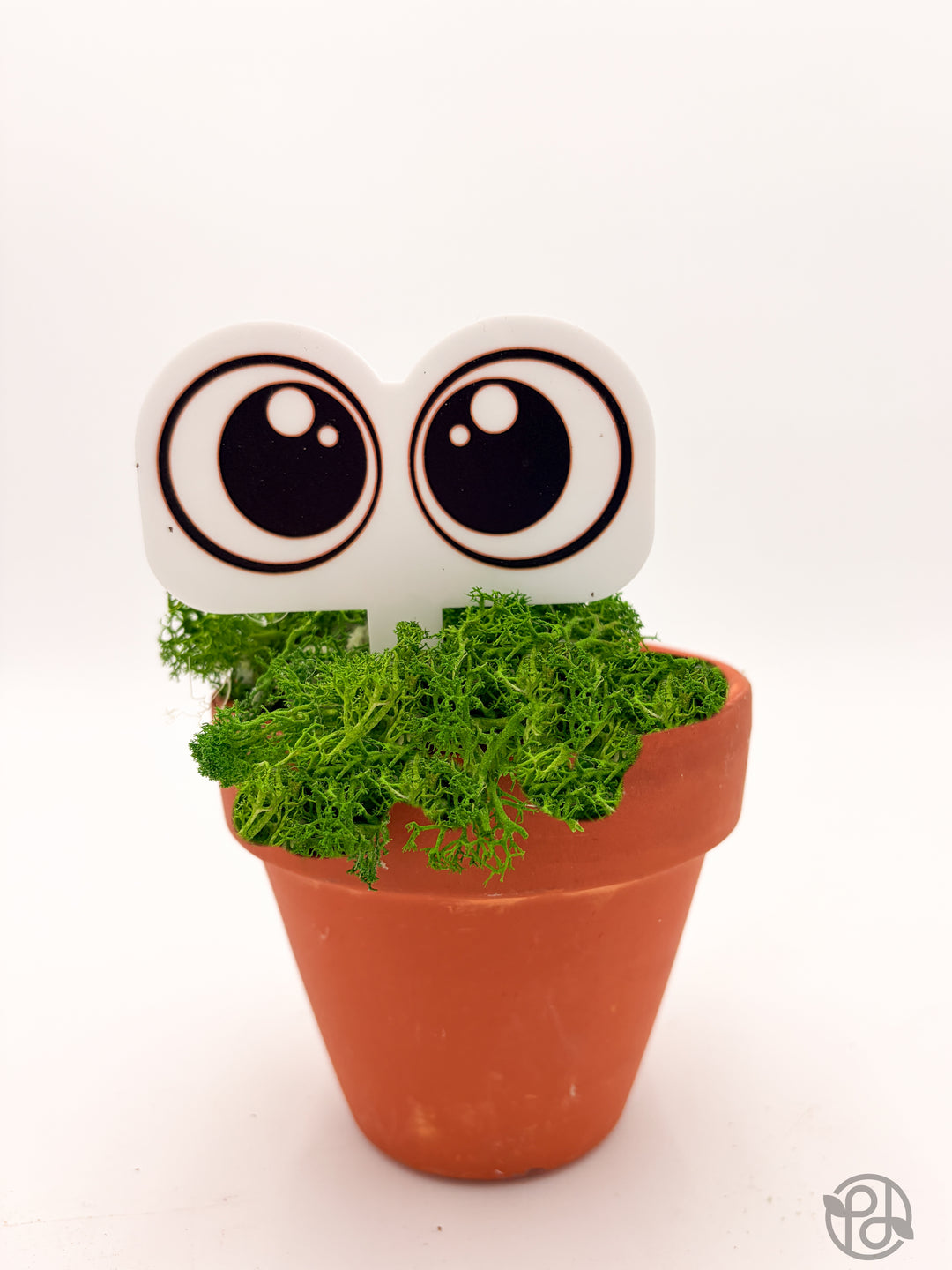 Pot Pals — Decorative Plant Stake