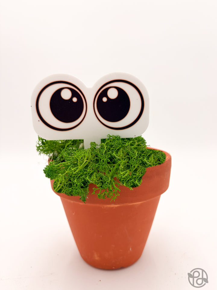 Pot Pals — Decorative Plant Stake