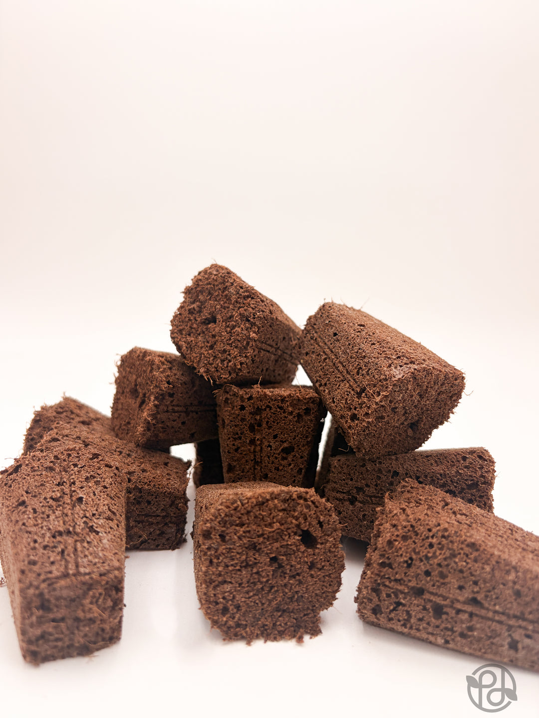 Propagation Plugs — Forbidden Brownies