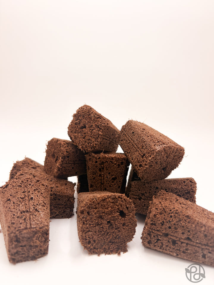 Propagation Plugs — Forbidden Brownies