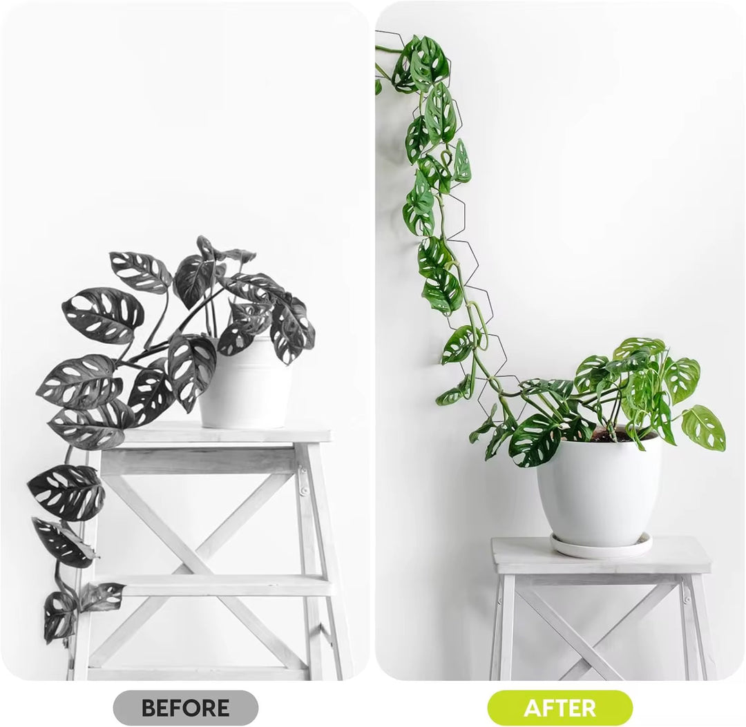 chain trellis for indoor plants Metal Chain Trellis – Propagation Diaries