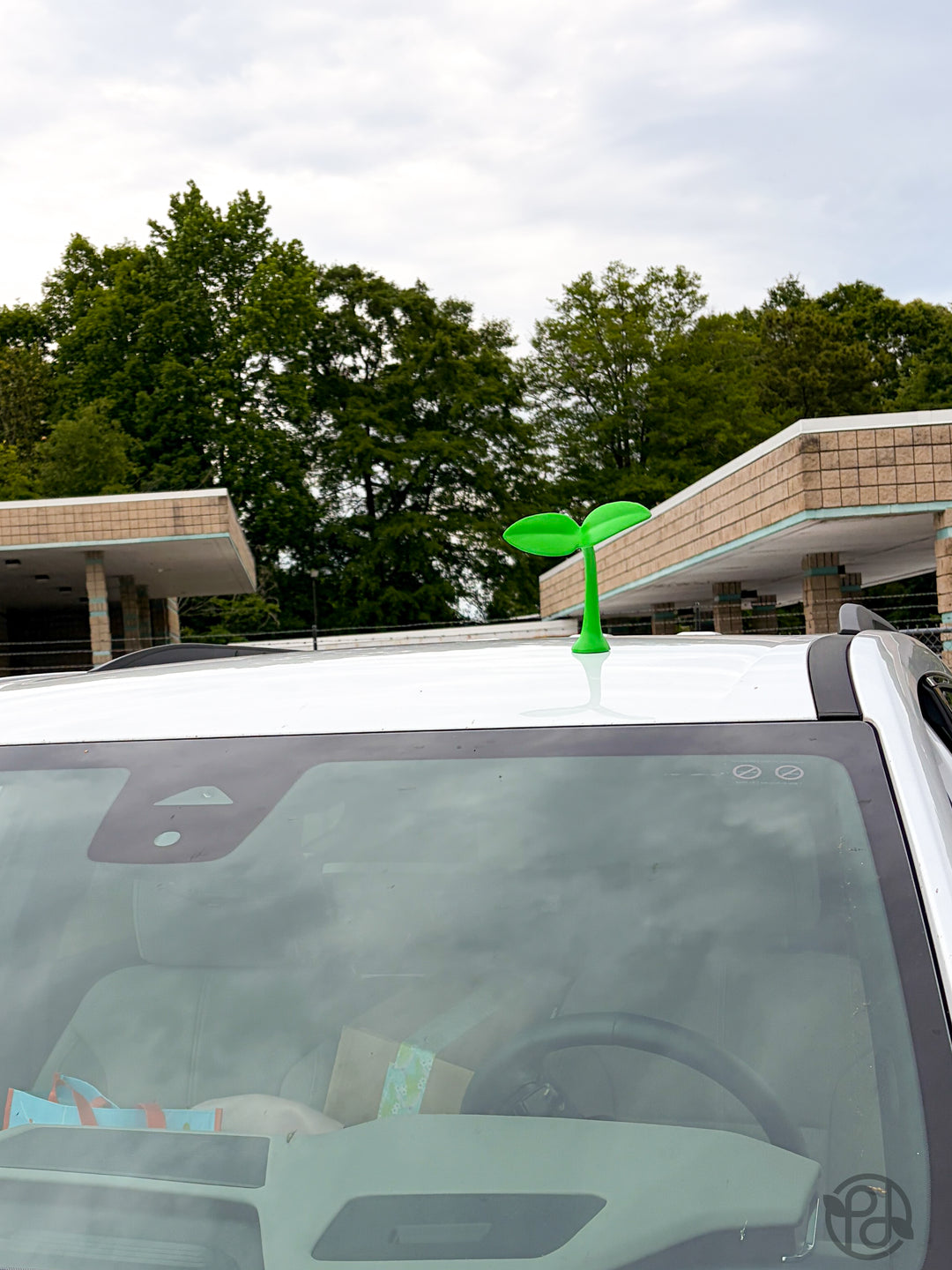 Car Sprout