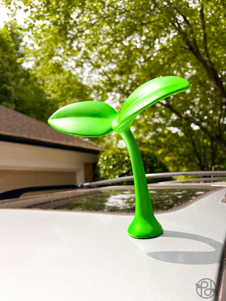 Car Sprout