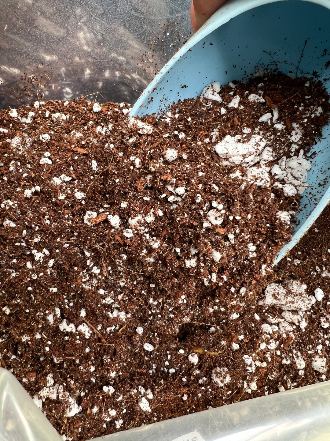 Coconut Coir for Houseplants / Sustainable Amendment 