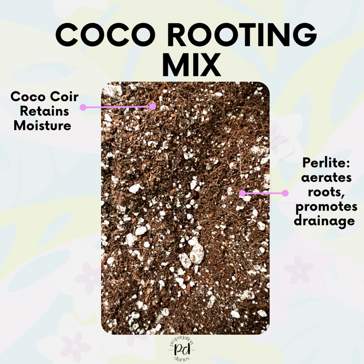 Coco Coir Rooting Mix