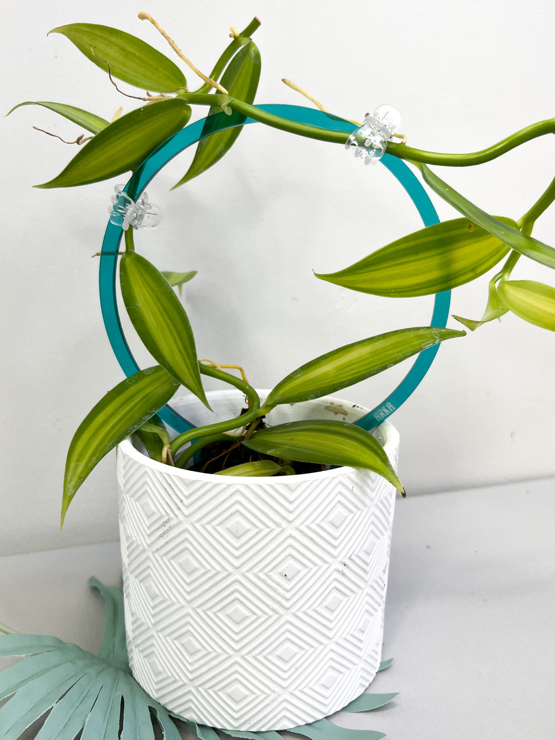 halo plant pots Arka Halo Plant Trellis | Halo Plant Trellis