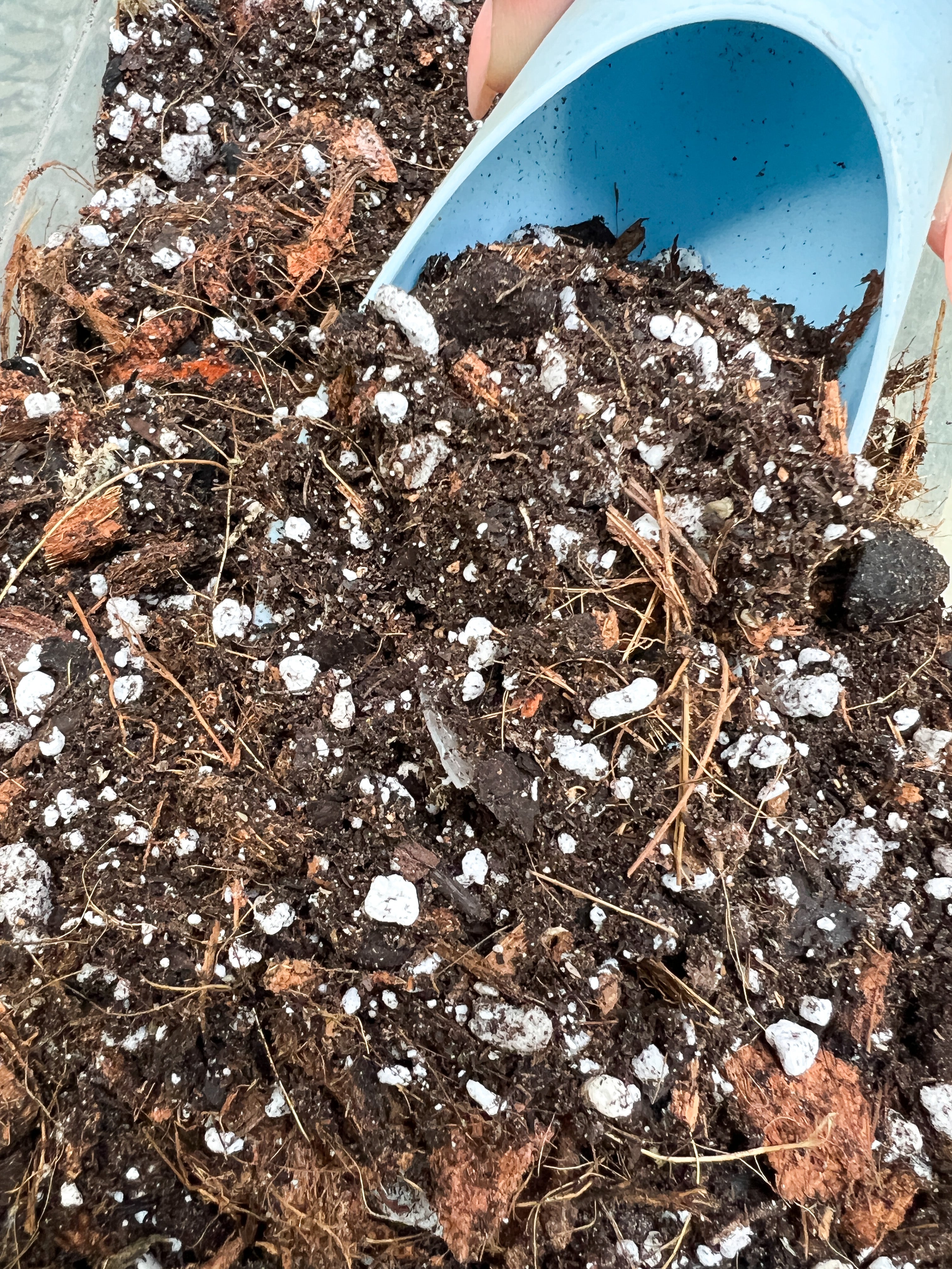 Aroid Soil Mix | Aroid Soil Mix | Propagation Diaries