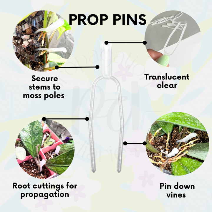 Propagation Pin/node Pin/moss Pole Pin/plastic Plant Pin/greening Pins/wreath  Pins/plastic Greening Pins/plastic Propagation Pins 