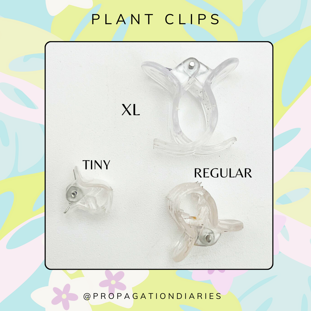 plastic plant clips Plastic Plant Clips | Extra Small Plant Clips