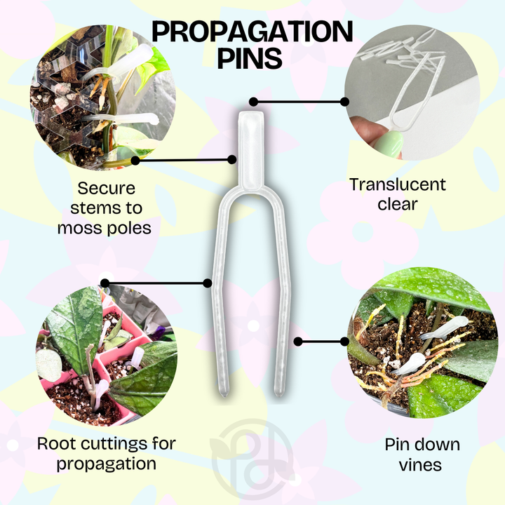 Plant Propagation Pins (Strawberry pins)