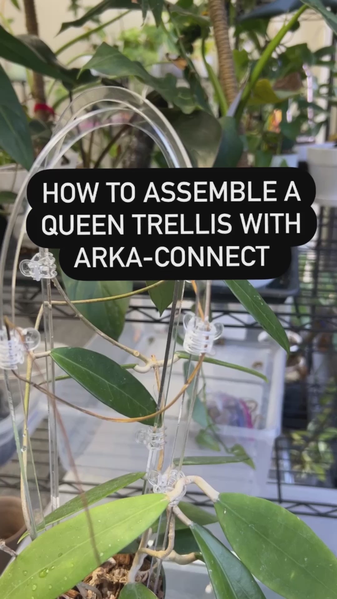 Arka-Connect  (Arka Trellis Add-On)
