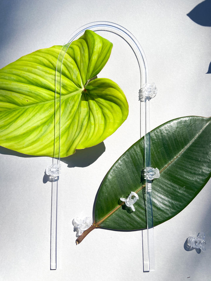 hanging plant clips Plastic Plant Clips | Small Plant Clips